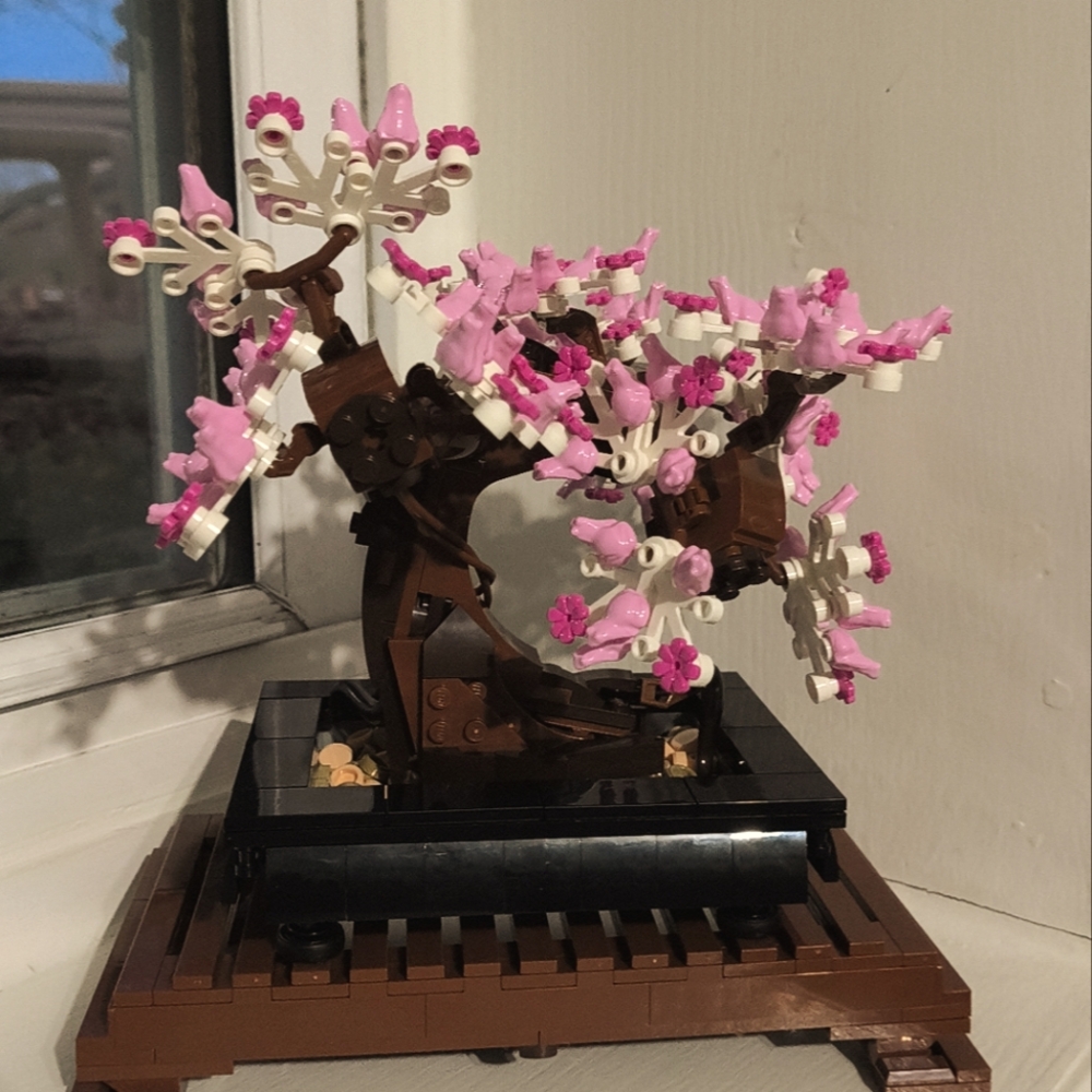 Meet your Posher, Ashton